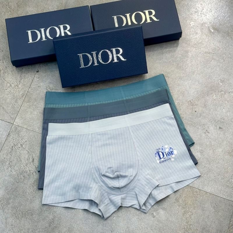 Christian Dior Underwear